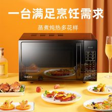 ΢¯20L ö๦ȫԶԤԼ΢¯DG(B0)