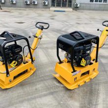 雙向汽油柴油平板夯 160/220型地面壓實(shí)夯實(shí)機(jī) 路面回填振實(shí)機(jī)