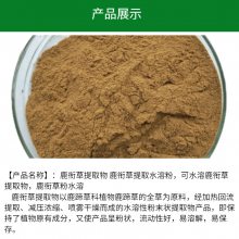 鹿衔草粉水溶10:1提取水溶性粉末