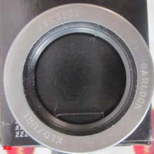 GARLOCKǼͷ21086-3623