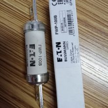 保险丝熔断器EATON BUSSMNAN FWP-100B FWP-100C FWP-250C FWP-50C