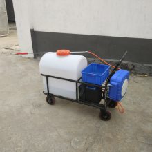 12V60A电动打药机 轻便手推式大棚打药机 畜牧养殖场消毒机浩阳直销