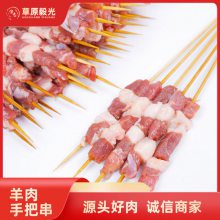 竹签羊肉串一包700g，采用大羊后腿肉切块，草原毅光新鲜冷冻食材