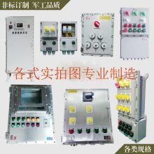 防爆配电箱 接线箱 非标防爆控制箱 气体防爆