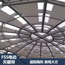 FSS ̳չԲε綯  