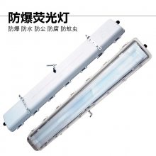 新黎明led防爆防腐全塑荧光灯40W仓库厂房照明药厂三防灯18W