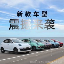 莱万特F918电动四轮车 成人代步车 新能源家用低速汽车 全封闭