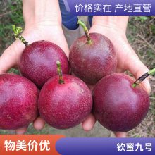 9Żƽ޽統Ҷļˮ