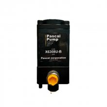 ƷPASCALŷ