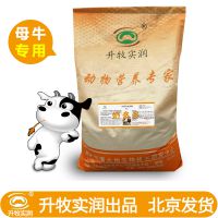 高产奶牛专用预混料厂家