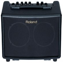  Roland AC-33 ԭ