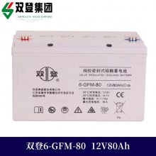 双登蓄电池6-GFM-80不间断电源12V80AH直流电源 医疗设备