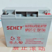 SEHEYNPG80-12Ǧά12V80AHʽֱUPS/EPSά