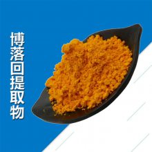 博落回提取物 精细粉末 支持定制 浓缩浸膏 1kg起订