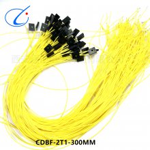 2оͷ CDBF-2T1-300MM CDBF-2T-300MM  Ӳ 괴