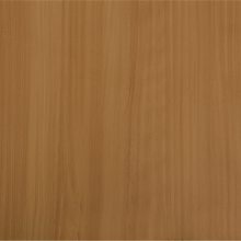 Ƭľֽ-ľֽ-ҵֽѼ(鿴)