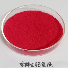 VIDHI 威喜色淀 食品添加剂 赤藓红铝色淀
