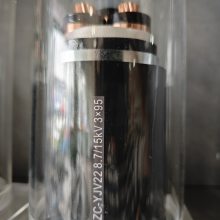 ϵZC-YJV228.7/15KV 3*95ͭоѹPVC׵