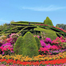 植物绿雕实现自然美与文化美的结合