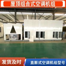 风冷蒸发式直膨机组 一体式风冷模块热泵机 空气源热泵机组 全新风直膨式8匹防爆空调机组