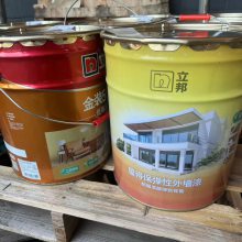 立邦屋得保弹性外墙漆***弹性膜16L