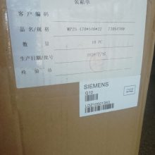 LDZ10501507 ģ