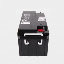 ѶNETIONNP-XA1224CH 12V24AH ʱ