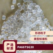 PA66 ʿEMS TSG-30 ǿ ȶ ǿ ָ֧Ӧ