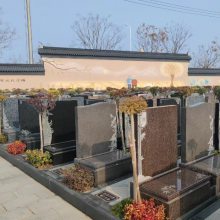 �ζ����Լ۱ȸߵĹ�Ĺ ���ɰ�Ϣ԰�Ϻ���Ӧ