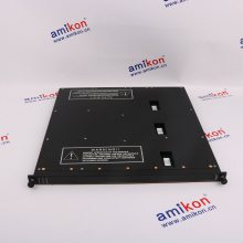 ϵͳ tricon Դģ 8312