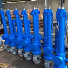 DYTZ450/600ҺƸ ռռС