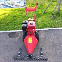 ݻ ʽͼݻ 80ͼݻ