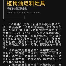 贵州遵义生物质液体燃料 民用厨房烧火油 无醇立式猛火灶 小投资创业项目