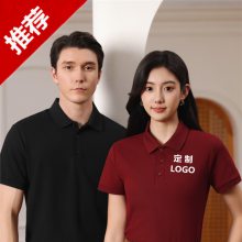 机关单位空白工装t恤定制文化衫广告衫 企业团体夏季工作服polo衫