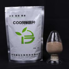 Խ-CODCODָ ˮ͸