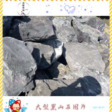 ɽʯӹ ӢҰɽʯ԰쾰زСþʯ