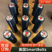 8.8ǿ˿ ֹ˨а˨ SmartBolts ˨