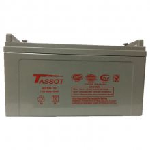 泰斯特蓄电池TST12V100 12V100AH安防警报系统