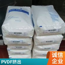   ά PVDF Solef 41308