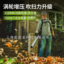 BLF446ʽ﮵ˢ綯40VѩҶ