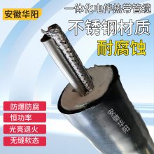 烟气分析仪取样管线BWG-F8A020201002 烟气伴热采样管