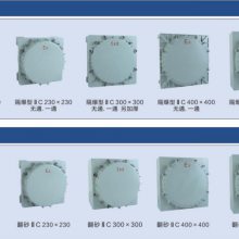 华荣防爆箱HL-BXK-T-D-ZL 配钢制格兰及堵头 防爆ExⅢCDT6 防护IP66