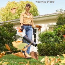 ˹�ٶ�STIHL����ʽ�����BGA60﮵���ˢ԰�ֵ�·���������