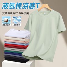 2026�¿�Բ��T����POLO����ҵ����߶˶��ơ�