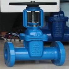 Z41X-16C ˵բ ܷբ ַܷբZ41X-16C DN100 ܷբ