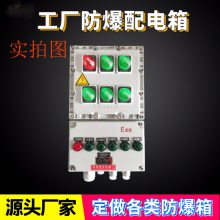 防爆配电箱 接线箱 非标防爆控制箱 气体防爆
