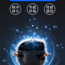�Ʋ�IMS-20ѩ���Ʊ�������20KG-500KG�����ѩ����