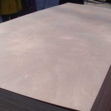 胶合板厂直供木胶合板 包装板 多层板 托盘板