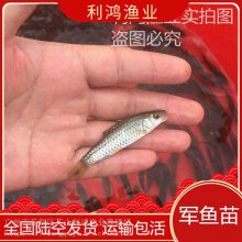 硿ҵ⵹   Ӽ 