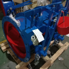 DMF-0.1 ʽȫжϷ ú й¶жϷ